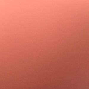 Meet your Posher, Tamara